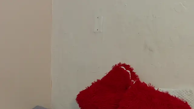 ThiagoBrooks_ webcam