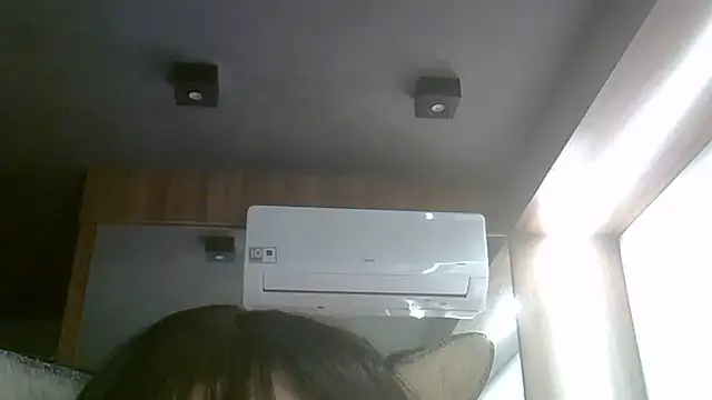 SkinnyKitten webcam
