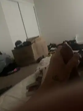 bugballs1 webcam