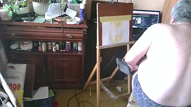 Art_Ass webcam