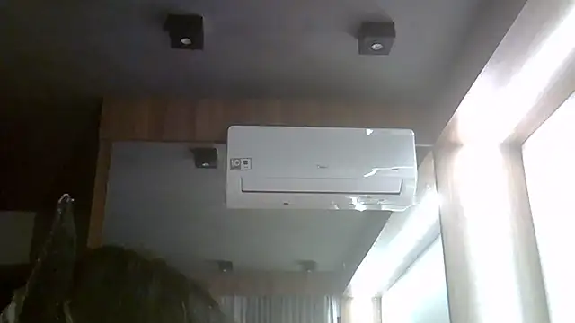 SkinnyKitten webcam