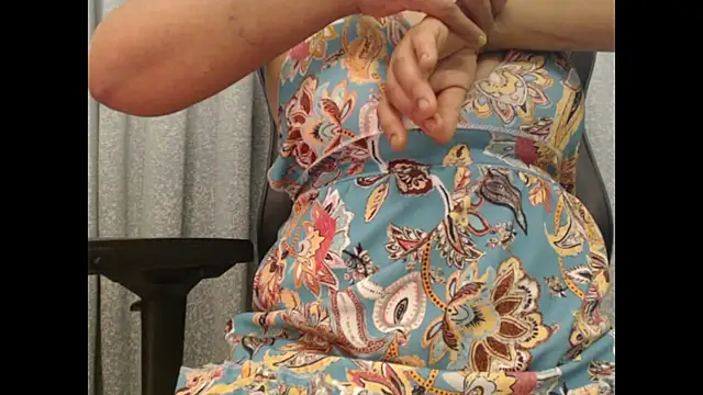 Model29 webcam