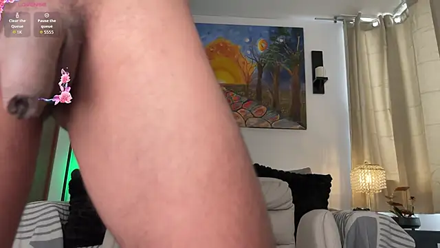 Adams_ricci webcam
