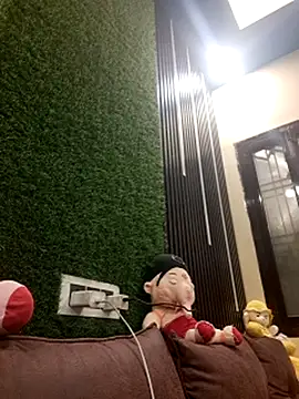 SHANVII webcam