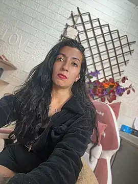 SALOME_KORLAND webcam