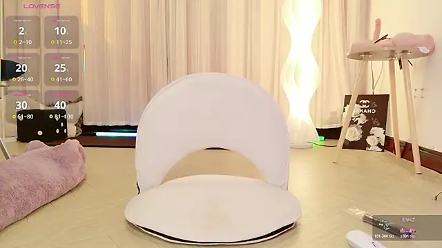 BoxedGyre- webcam