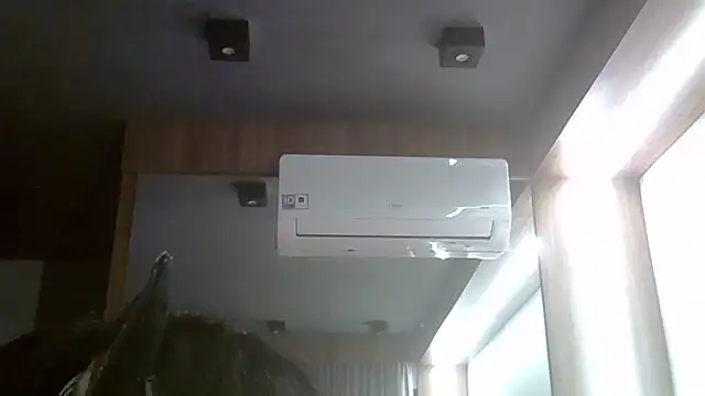 SkinnyKitten webcam
