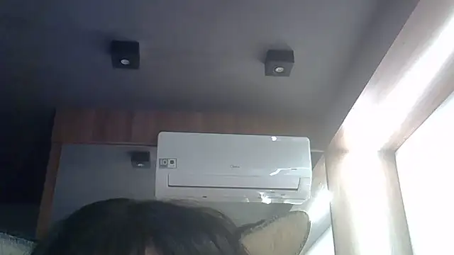 SkinnyKitten webcam