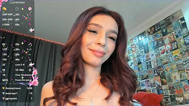 Lisolin webcam