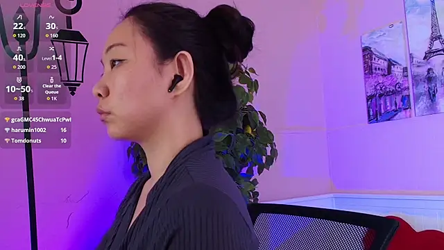 Inari_Okami_ webcam