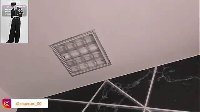 AerumChae webcam