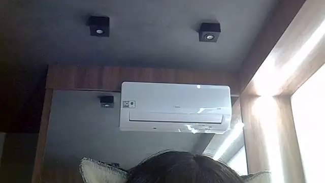 SkinnyKitten webcam