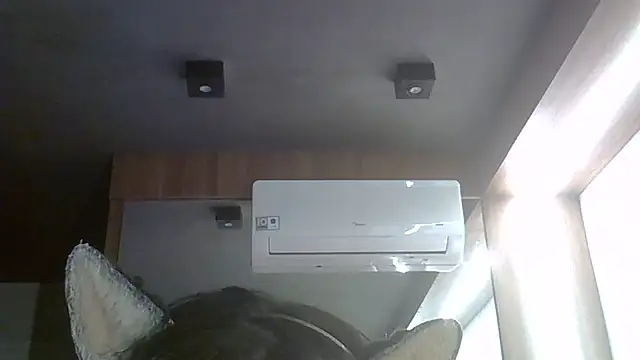 SkinnyKitten webcam