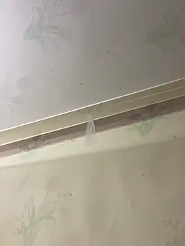 Mon_04