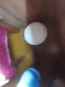 denca28 webcam