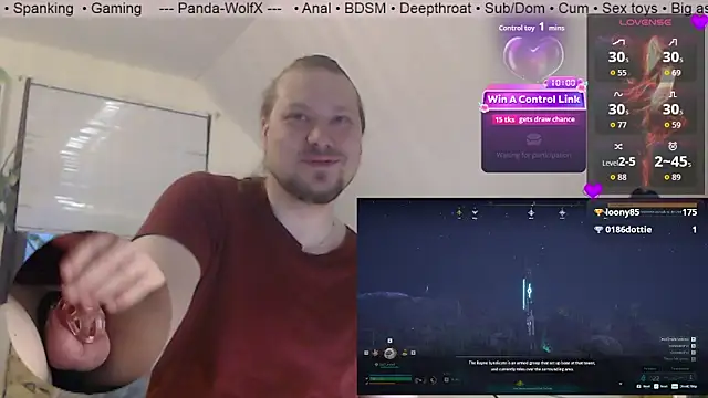 Panda-WolfX webcam