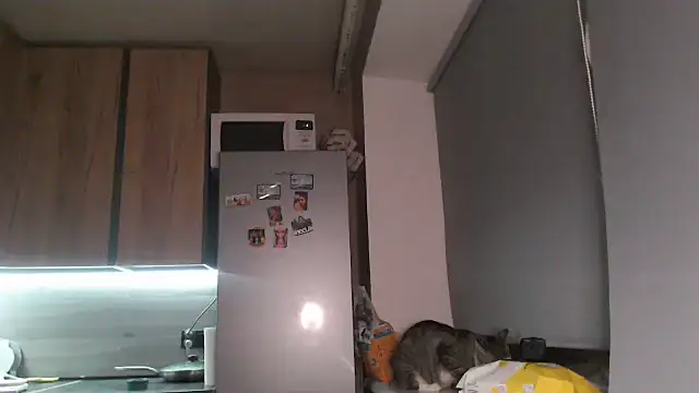 delightful_sofi webcam