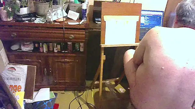 Art_Ass webcam