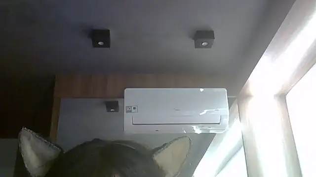 SkinnyKitten webcam