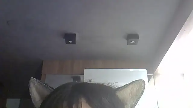 SkinnyKitten webcam