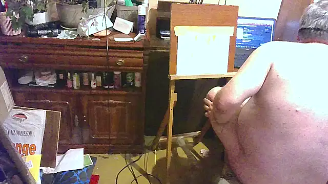 Art_Ass webcam