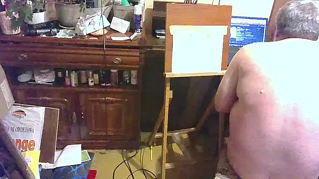 Art_Ass webcam