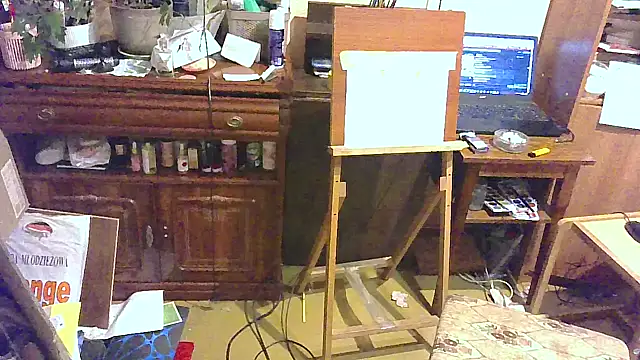 Art_Ass webcam