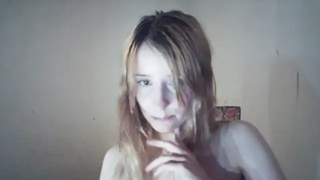 SinaPalmeter webcam