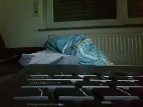 FROL83 webcam