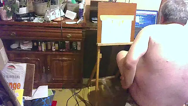 Art_Ass webcam