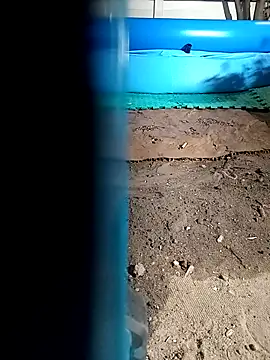 arouane webcam
