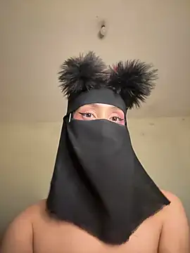 arabayla webcam