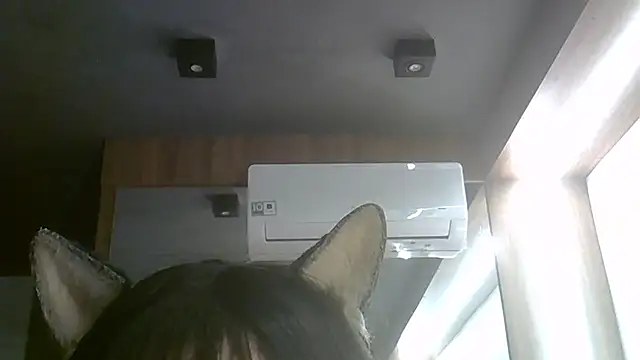 SkinnyKitten webcam