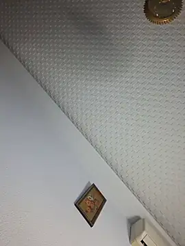 Pollon41x webcam