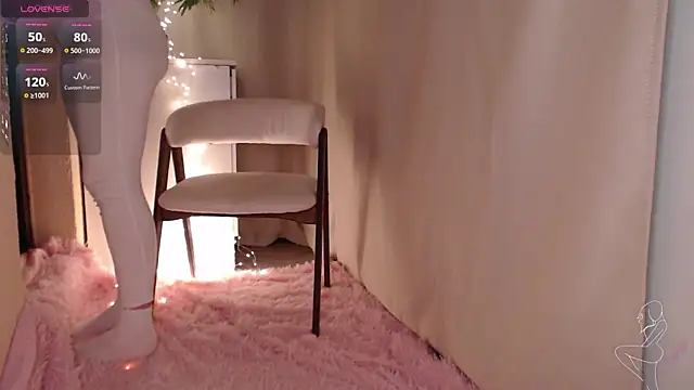Zeeeme webcam