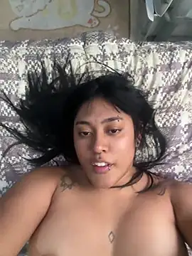 pawmistry webcam