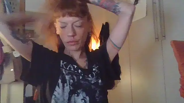 plsmecha webcam