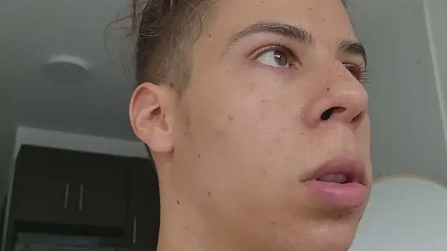 grey___27 webcam