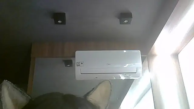 SkinnyKitten webcam
