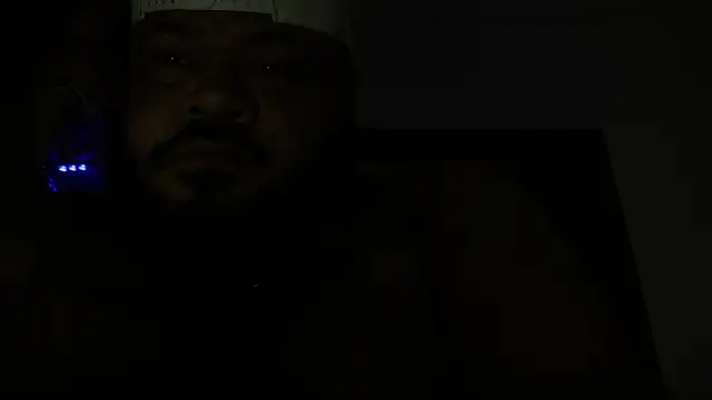 Bearspigdirty webcam