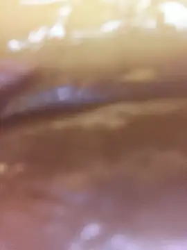 _desigirlroshni - _DesigirlRoshni's free webcam - UK Sex Cams