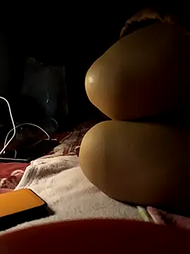 -Tara-a webcam