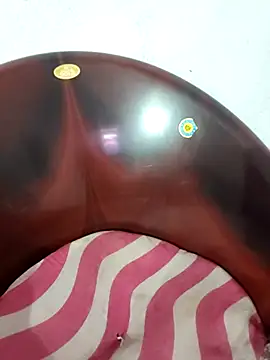 19SRIDEVITELUGU webcam