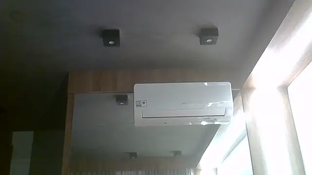 SkinnyKitten webcam