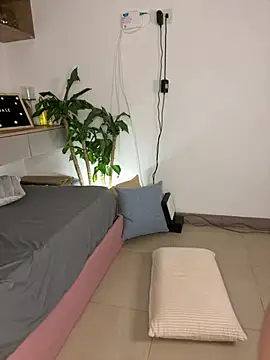 Galena_ webcam