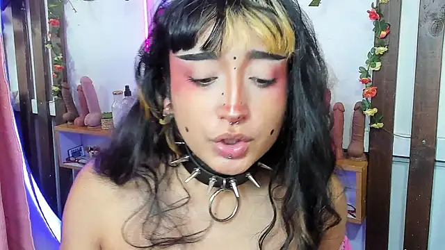 MeowMota_ webcam