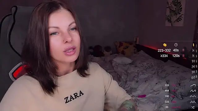 Alaska_ya webcam