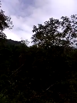 Hanhphuc_x webcam