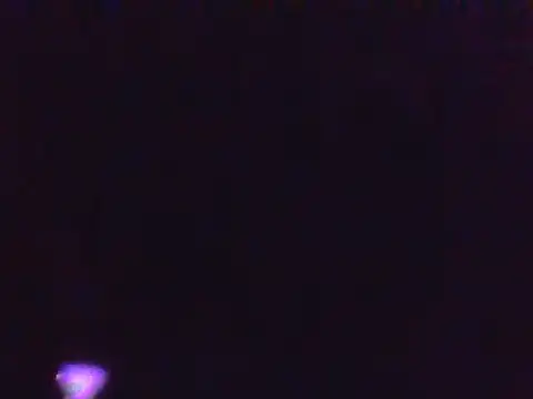 Lacedarling webcam