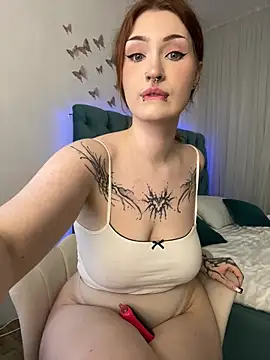 _HESOYAM webcam